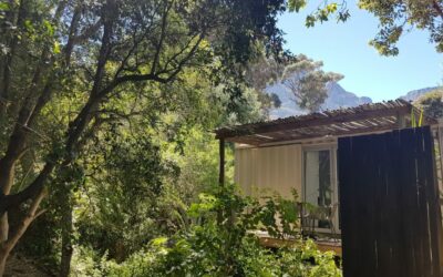 The Pods: Holiday Accommodation with a Tiny Twist