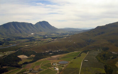 Springtime in the Overberg: How to Make the Most of This Season