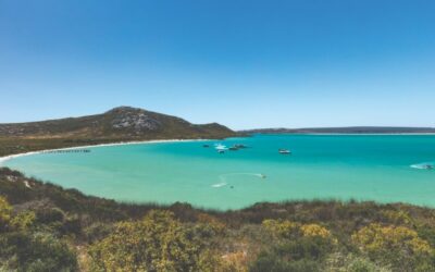 The Poetic Beauty of the Western Cape
